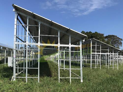 Solar Energy Agricultural Solar Mounting System For Farm